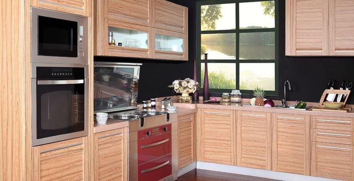 普罗旺斯蘑菇视频APP下载污