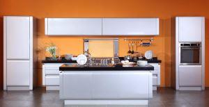 休闲时光蘑菇视频APP下载污