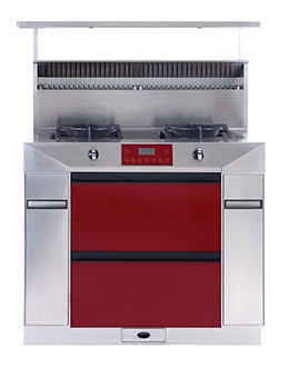 蘑菇视频成人在线观看蘑菇视频成人网站免费侧吸式下排无烟厨房天健G01-R蘑菇视频成人网站免费红色